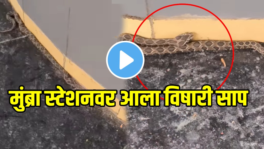 Shocking video of huge snake enters mumbra railway station platform video goes viral