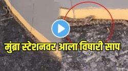 बापरे! मुंब्रा स्टेशनवर आला विषारी साप; प्रवाशांचा उडाला थरकाप पण तरुणीनं काय केलं पाहा, VIDEO झाला व्हायरल