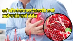 हार्ट अटॅक ते हाय ब्लडप्रेशरपर्यंत सगळे आरोग्य धोके कमी होतील! डॉक्टरांनी सांगितली डाळिंबाच्या सेवनाची पद्धत