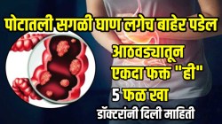 पोटातली सगळी घाण एका दिवसात बाहेर पडेल; अपचनही होणार नाही, आठवड्यातून एकदा फक्त डॉक्टरांनी सांगितलेली “ही” ५ फळ खा