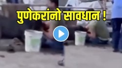 पुणेकरांनो सावधान! भटक्या कुत्र्यानं व्यक्तीचा अक्षरश: हात फाडला, ओरबाडलं; तो ओरडत राहीला पण…धक्कादायक VIDEO व्हायरल