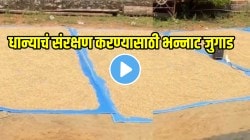 शेतकऱ्यांचा नाद करायचाच नाय! धान्याचं संरक्षण करण्यासाठी शेतात केला भन्नाट जुगाड; VIDEO रक्तात टॅलेंट आहे शेतकऱ्याच्या