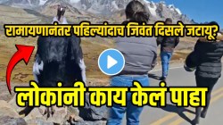 VIDEO: रामायणानंतर पहिल्यांदाच जिवंत दिसले जटायू? रस्त्याच्या कडेला बसलेल्या जटायूला पाहून लोकांनी काय केलं बघा