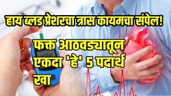 हाय ब्लड प्रेशरचा त्रास कायमचा संपेल! रोजच्या गोळीपासून होईल सुटका; फक्त आठवड्यातून एकदा ‘हे’ ५ पदार्थ खा