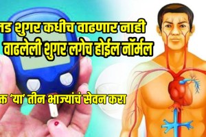Blood sugar levels control consume these 3 vegetables