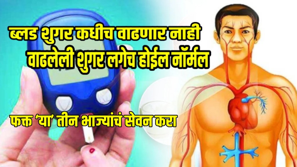 Blood sugar levels control consume these 3 vegetables