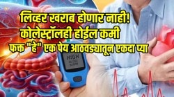 लिव्हर खराब होणार नाही! कोलेस्ट्रॉलही होईल कमी; फक्त पोषणतज्ज्ञांनी सांगितलेले “हे” एक पेय आठवड्यातून एकदा प्या