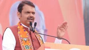 Maharashtra plans new citizen-driven tiger conservation policy, says CM Fadnavis