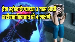 ब्रेन स्ट्रोक येण्याच्या ३ तास आधी शरीरात दिसतात ही ४ लक्षणे; आताच जाणून घ्या, दुर्लक्ष करणं जीवावर बेतू शकतं