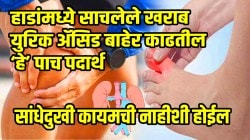 रक्तातील नसांमध्ये, हाडांमध्ये साचलेले खराब युरिक अ‍ॅसिड बाहेर काढतील ‘हे’ पाच पदार्थ, सांधेदुखी कायमची नाहीशी होईल