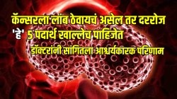 कॅन्सरला लांब ठेवायचं असेल तर दररोज ‘हे’ पाच पदार्थ खाल्लेच पाहिजेत; डॉक्टरांनी सांगितला आश्चर्यकारक परिणाम