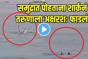 Shocking Shark Attack In Egypt Tourists Last Struggle Caught On Camera Video Viral on social Media