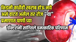 किडनी कधीही खराब होऊ नये असं वाटतं असेल तर रोज “या” प्रमाणात पाणी प्या; डॉक्टरांनी सांगितले चमत्कारिक परिणाम