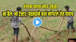 शेतकऱ्याचा नांगरणीसाठी भन्नाट जुगाड; वेळ आणि कष्ट वाचविण्यासाठी बैलांशिवाय हा जुगाड नक्की करा; VIDEO पाहून व्हाल अवाक्