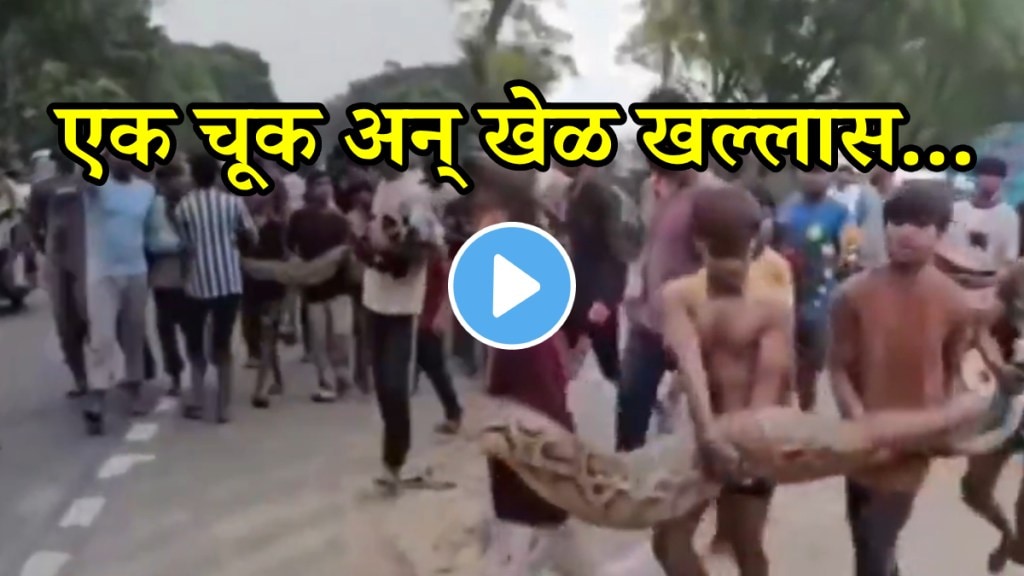 UP Kids Carry 15-Foot-Long Python In Bare Hands