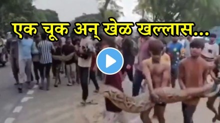 UP Kids Carry 15-Foot-Long Python In Bare Hands
