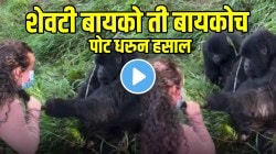 शेवटी बायको ती बायकोच…दुसऱ्या मुलीच्या केसाला हात लावला म्हणून गोरीलाच्या बायकोनं काय केलं पाहा; VIDEO पाहून पोट धरुन हसाल