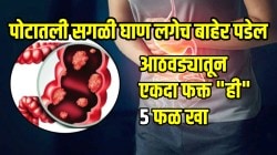 पोटातली सगळी घाण एका दिवसात बाहेर पडेल; अपचनही होणार नाही, आठवड्यातून एकदा फक्त “ही” ५ फळ खा