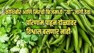 How to store green chillies and coriander for a long time kitchen jugad tips in marathi