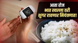 डायबिटीज रुग्णांनी भात खाल्ला तरी शुगर वाढणार नाही! फक्त डॉक्टरांनी सांगितलेल्या ‘या’ पद्धतीने करा सेवन