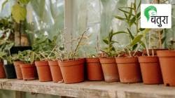 निसर्गलीपी छोटी कृती