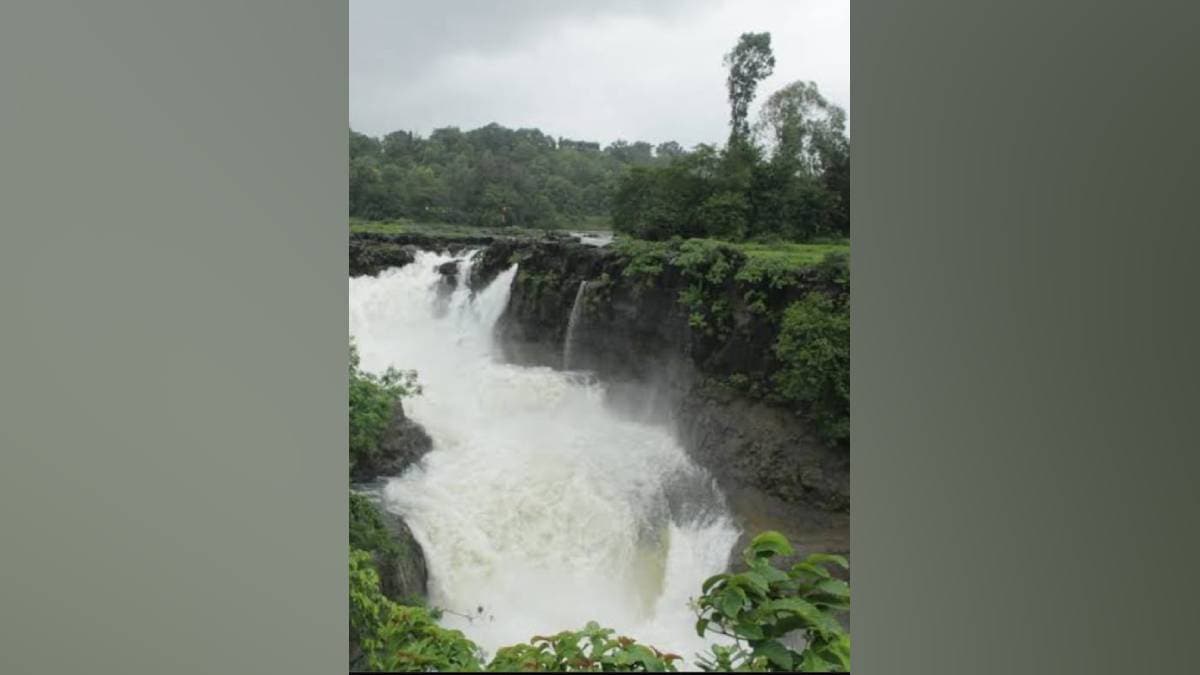भंडारदऱ्याचा ‘रंधा फॉल’ कोसळू लागला