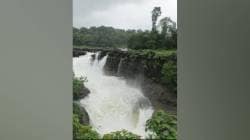 भंडारदऱ्याचा ‘रंधा फॉल’ कोसळू लागला