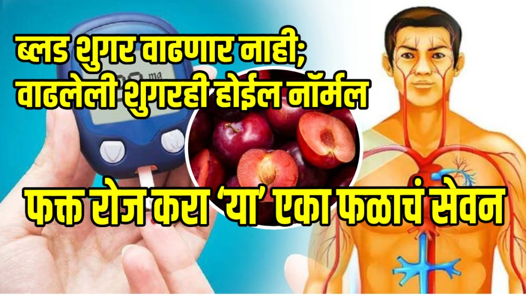What Happens When You Eat One Plum Every Day Plum fruit benefits in marathi