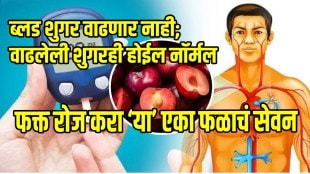 What Happens When You Eat One Plum Every Day Plum fruit benefits in marathi