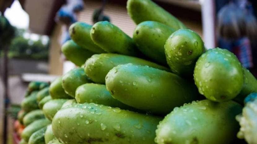Should you eat lauki with or without the peel