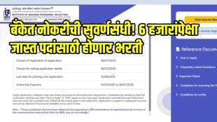 IBPS PO,SO Recruitment 2025