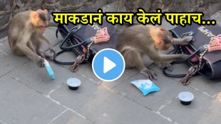 Monkey' Hilarious Video Of Sanjay Gandhi National Park Goes Viral, Woman Asks, 'Would You Dare To Visit Again?'