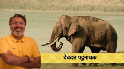 हत्ती… सत्ता, सामर्थ्य आणि कामभावनेचे प्रतीक!