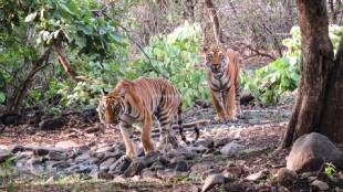 Nisargakatta an environmentalist organization based in Akola appealed to schools