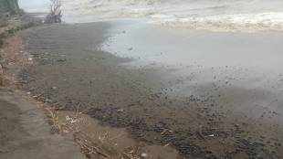 Oil slicks have been spotted on the beaches of Vasai
