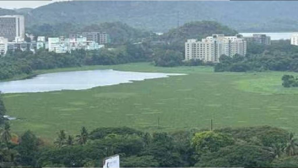 The demand of environmentalists finally succeeds for powai lake
