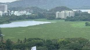 The demand of environmentalists finally succeeds for powai lake
