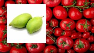 Price of Mateo Totapuri mango increases in the wholesale market in Market Yard in Pune