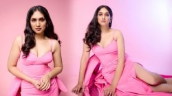 Filmfare Awards Marathi 2025: गुलाबी ड्रेसमध्ये प्रियदर्शिनी इंदलकर दिसतेय जणू प्रिंसेस