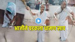 पुणे तिथे काय उणे! ७० वर्षीय आजीने भलामोठा साप घातला गळ्यात; पुढे काय झालंं तुम्हीच पाहा; VIDEO होतोय व्हायरल