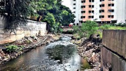 आंबील ओढा रद्द निविदेबाबत माजी स्थायी समिती अध्यक्षांची मोठी मागणी !