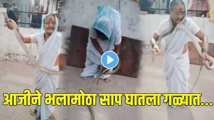 snake awareness viral video Pune
