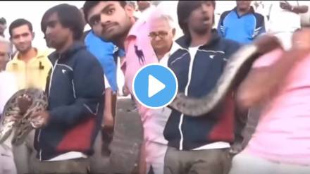 Python Attack Man video viral