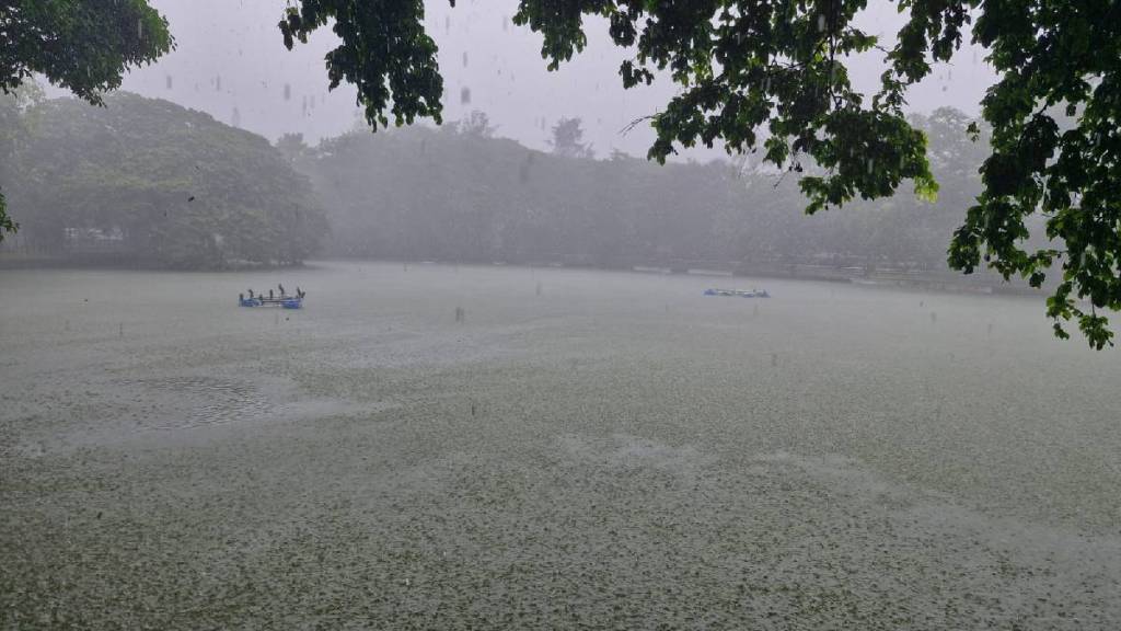 Raigad district has recorded 30 percent rainfall compared to the total average rainfall in one and a half months