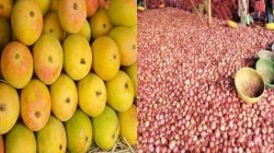 खबर पीक पाण्याची : कांदा खरेदीचे त्रांगडे ; ना शेतकऱ्यांचा, ना ग्राहकांचा फायदा