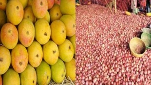 maharashtra government needs action on onion mango hapoos farming selling