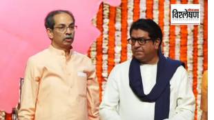 शिवसेना ठाकरे गटाचे प्रमुख उद्धव ठाकरे व मनसे अध्यक्ष राज ठाकरे (छायाचित्र पीटीआय)