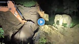 Rescued elephant shows gratitude to soldiers