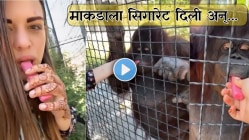 “हे भयानक आहे”, रशियन बॉक्सरने ओलांडल्या मर्यादा, पिंजऱ्यातील माकडाला सिगारेट दिली ओढायला, संतापजनक Video Viral