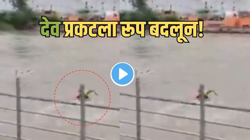 Ganga Drowning Rescue Video